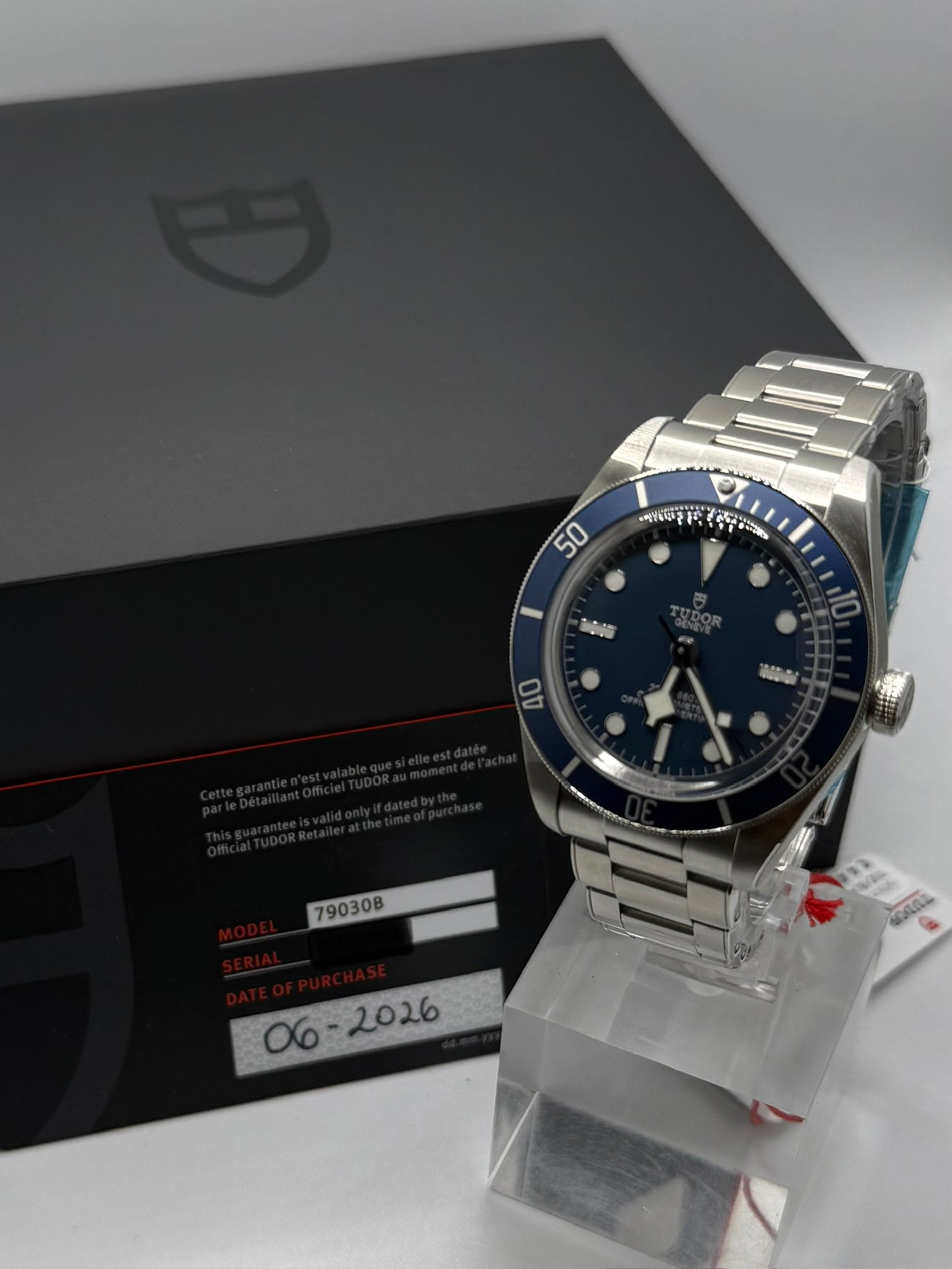 Tudor Black Bay