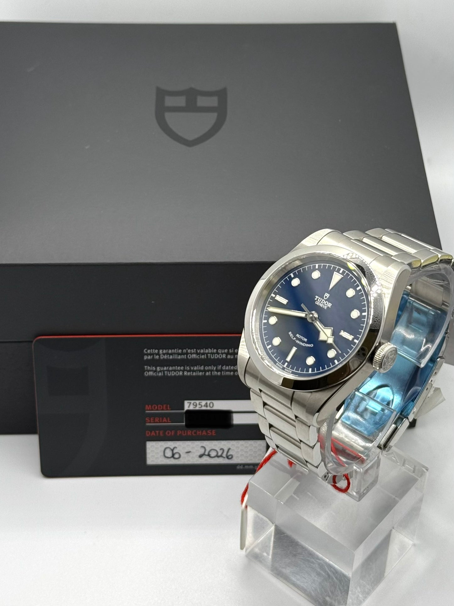 Tudor Black Bay