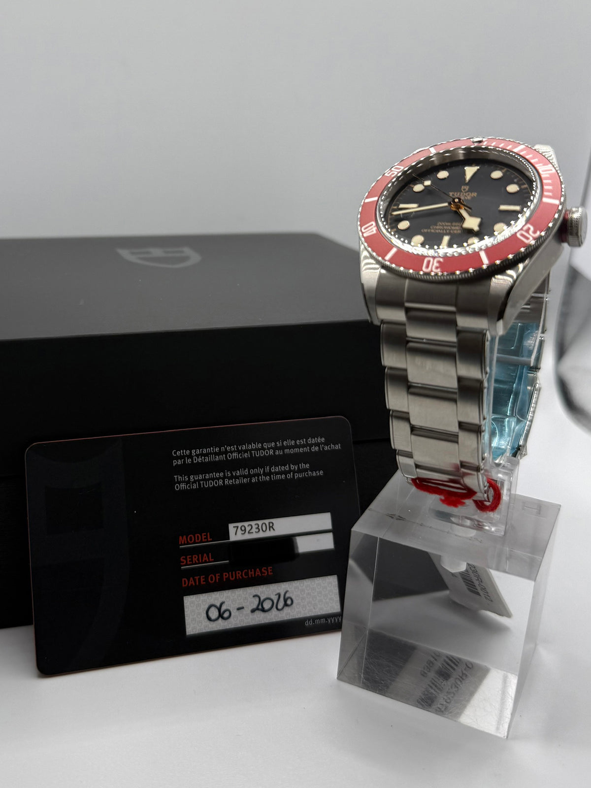 Tudor Black Bay