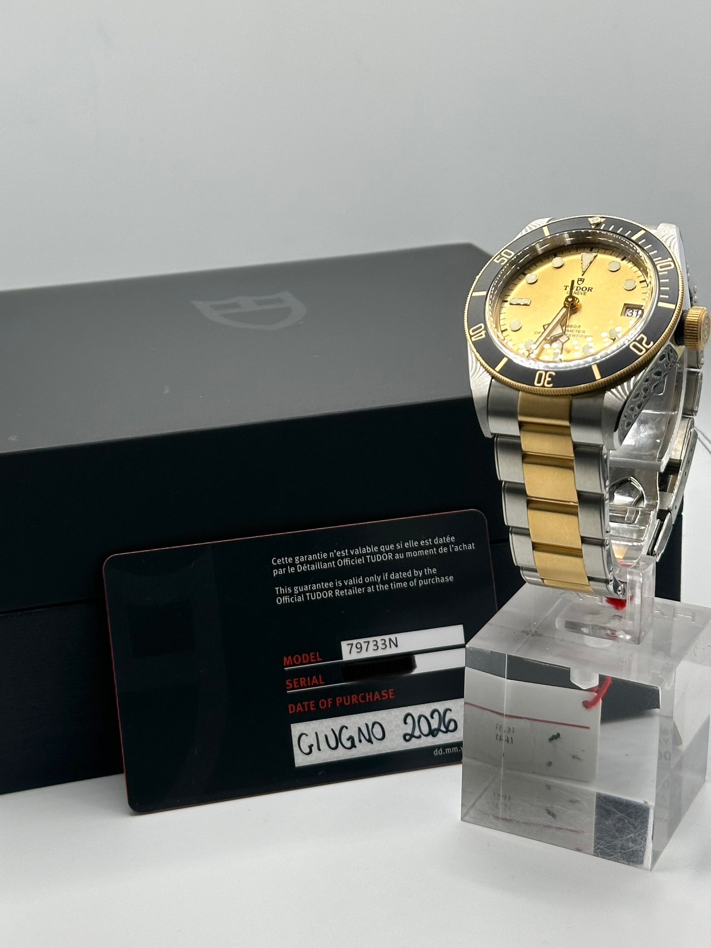 Tudor Black Bay