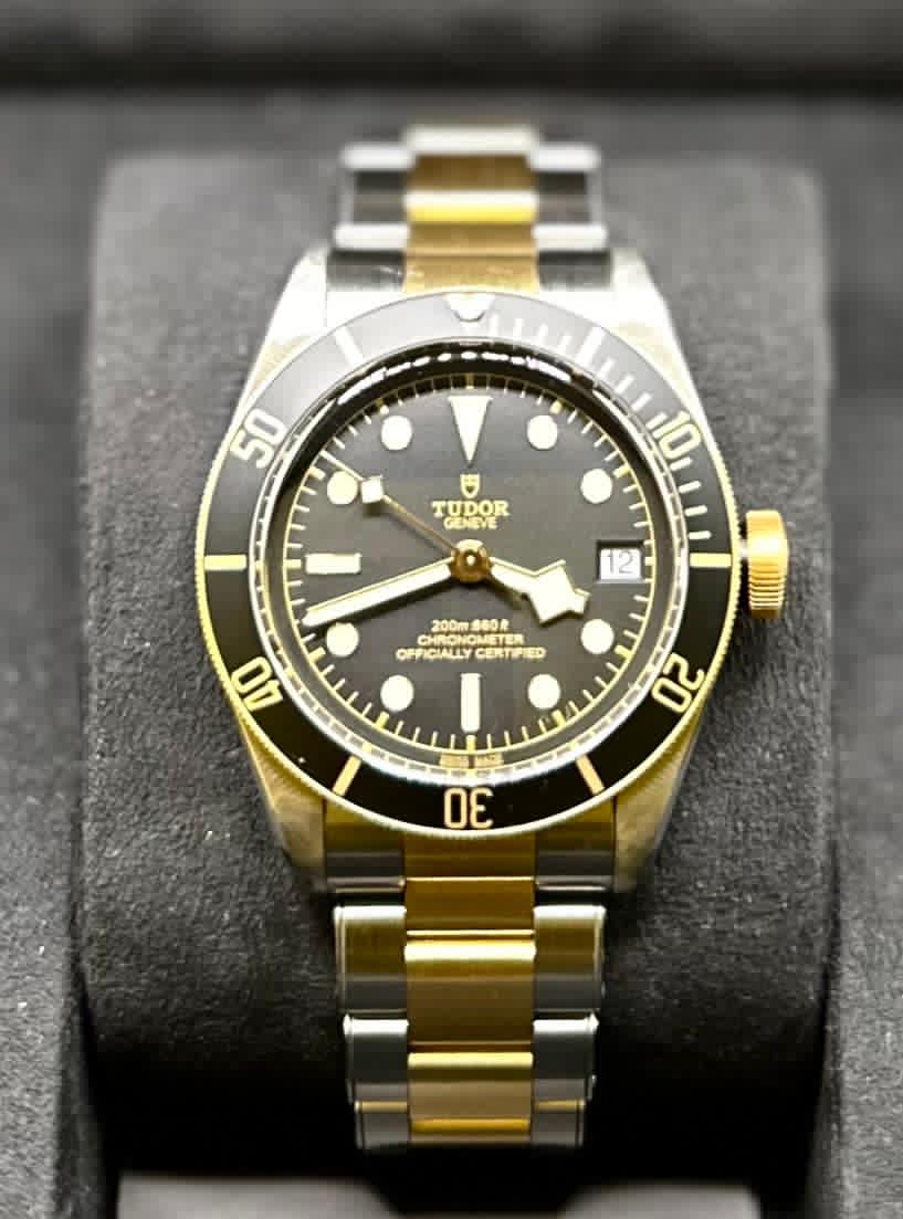 Tudor Black Bay S&G