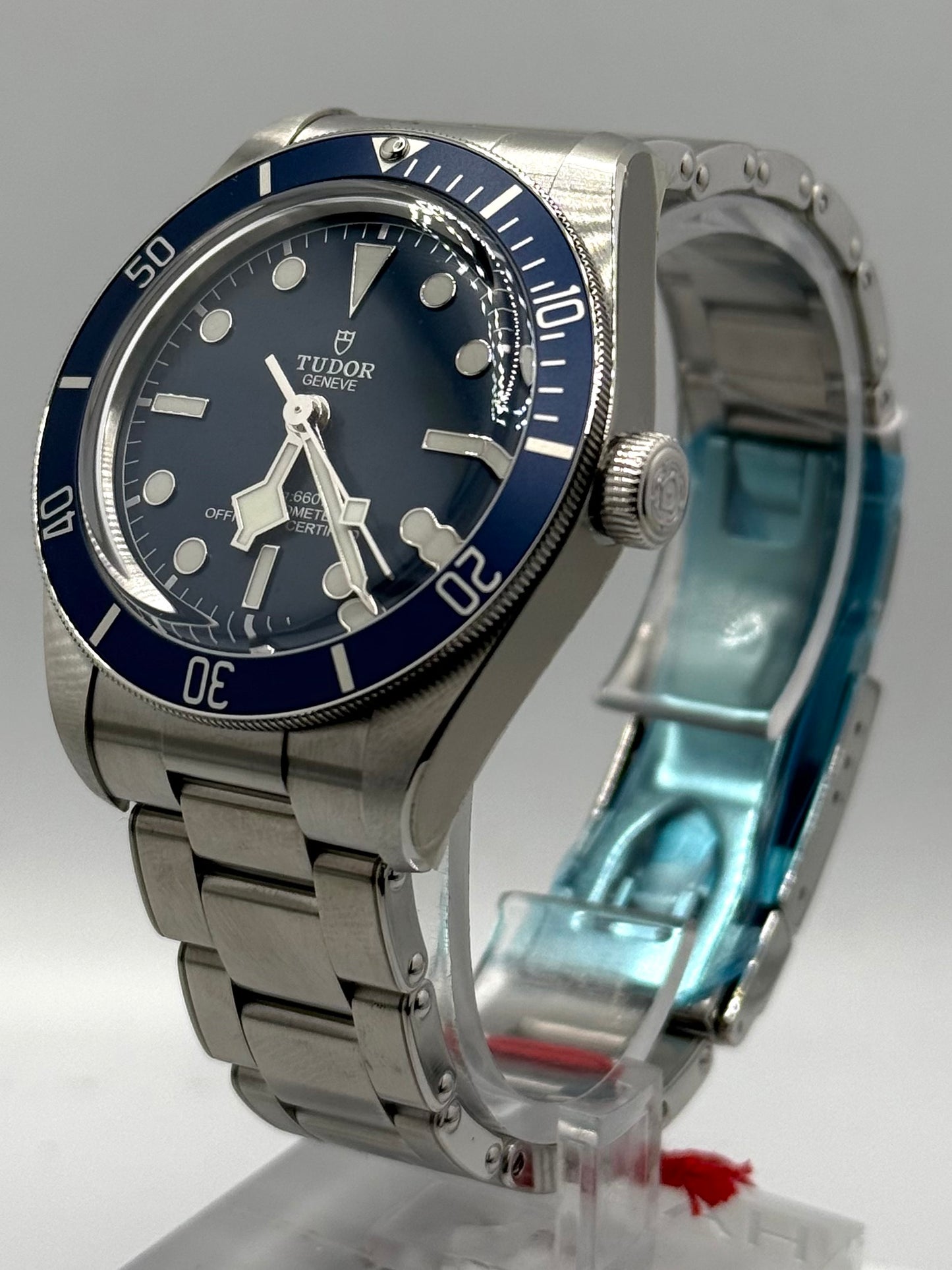 Tudor Black Bay