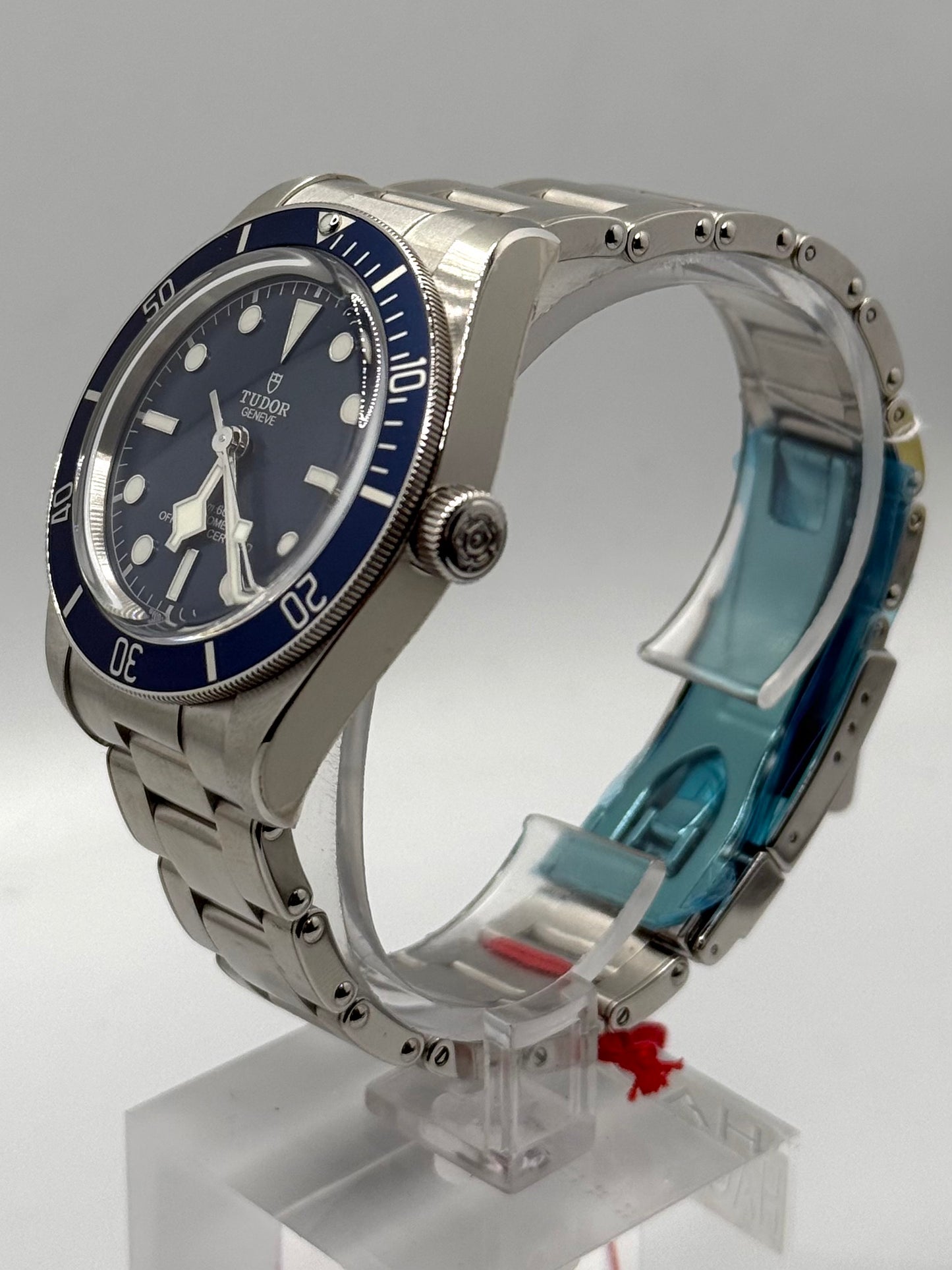 Tudor Black Bay