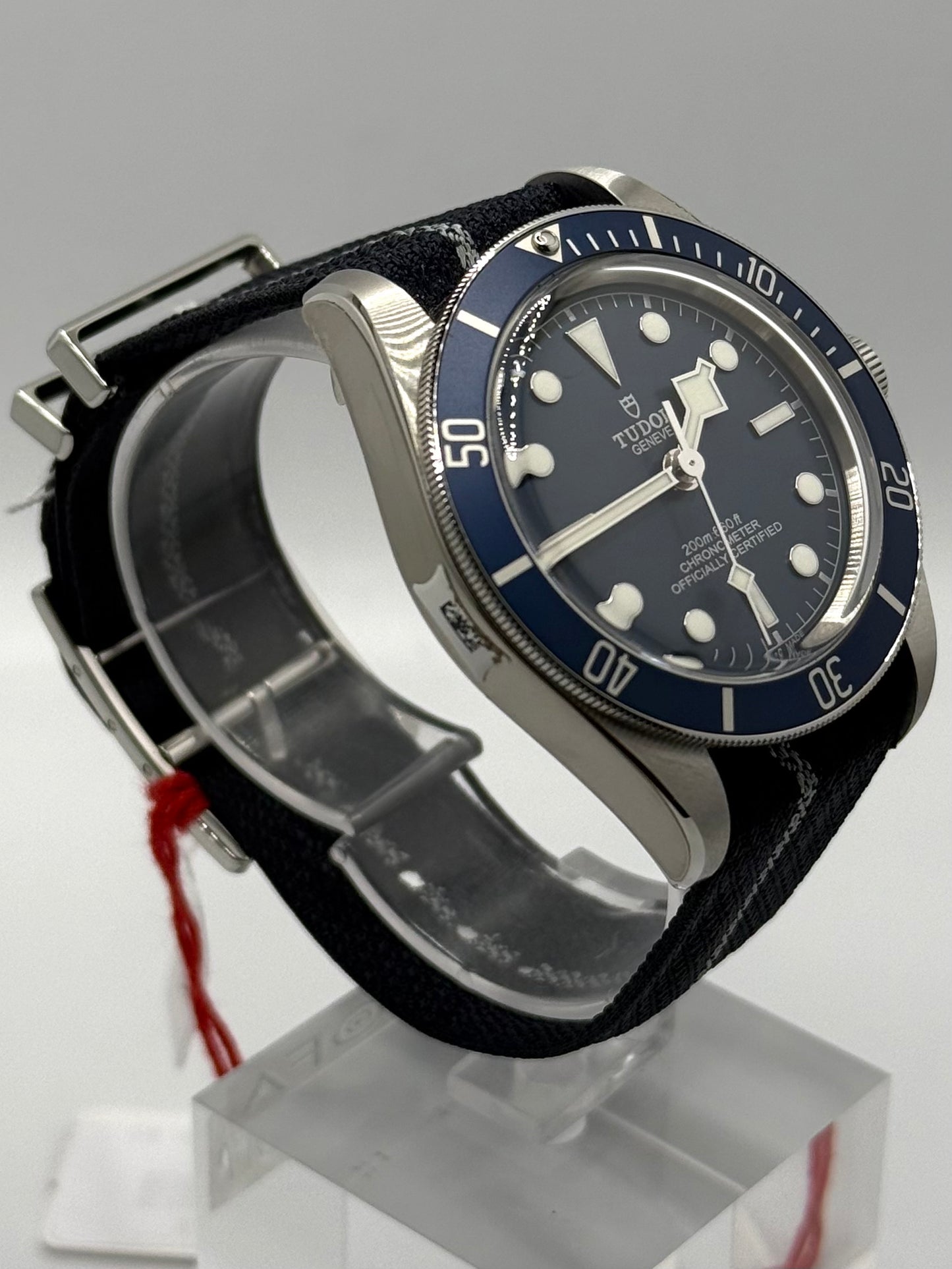 Tudor Black Bay