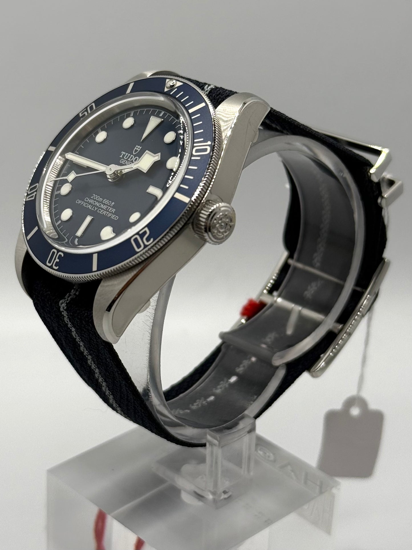 Tudor Black Bay