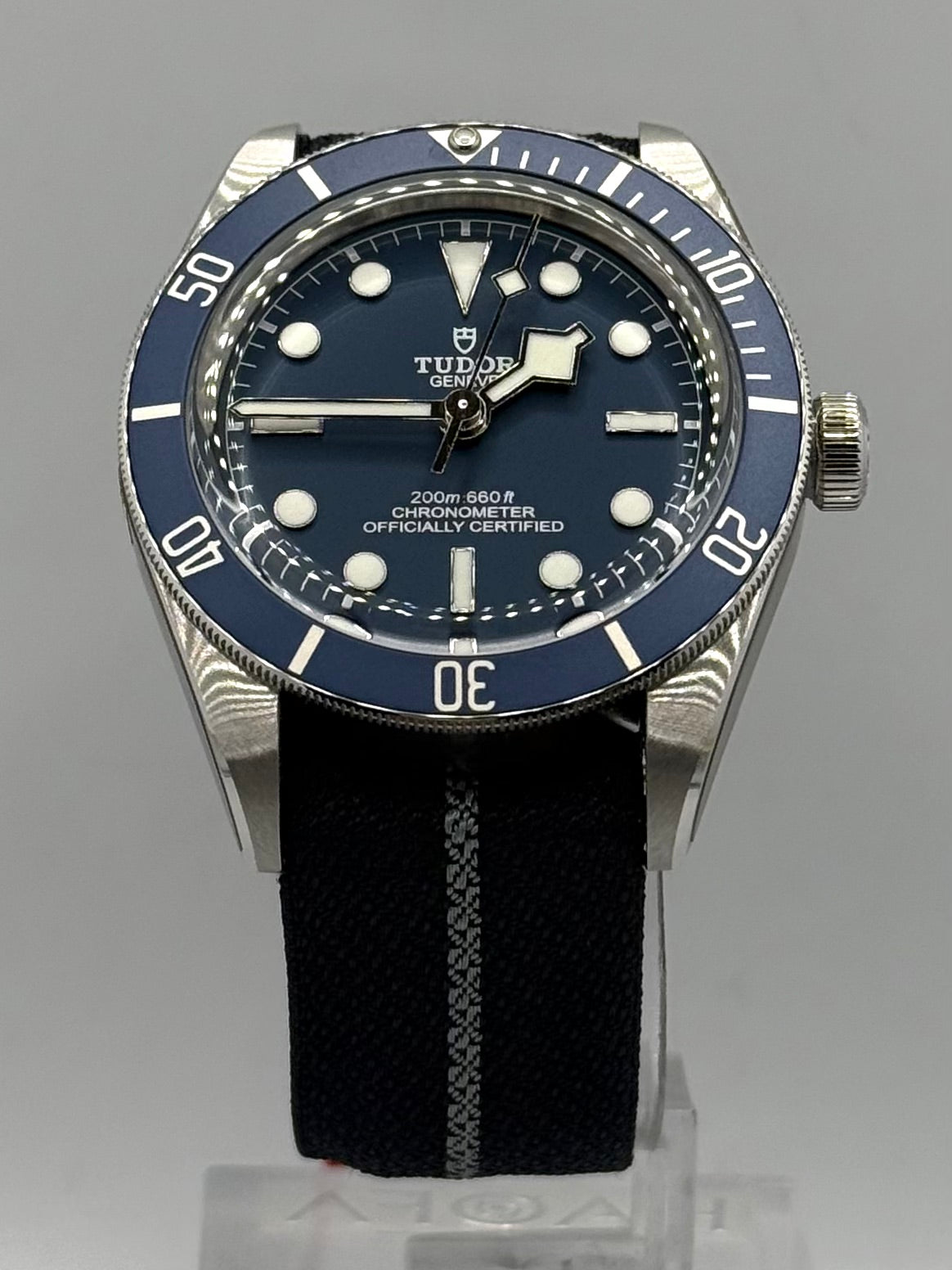 Tudor Black Bay