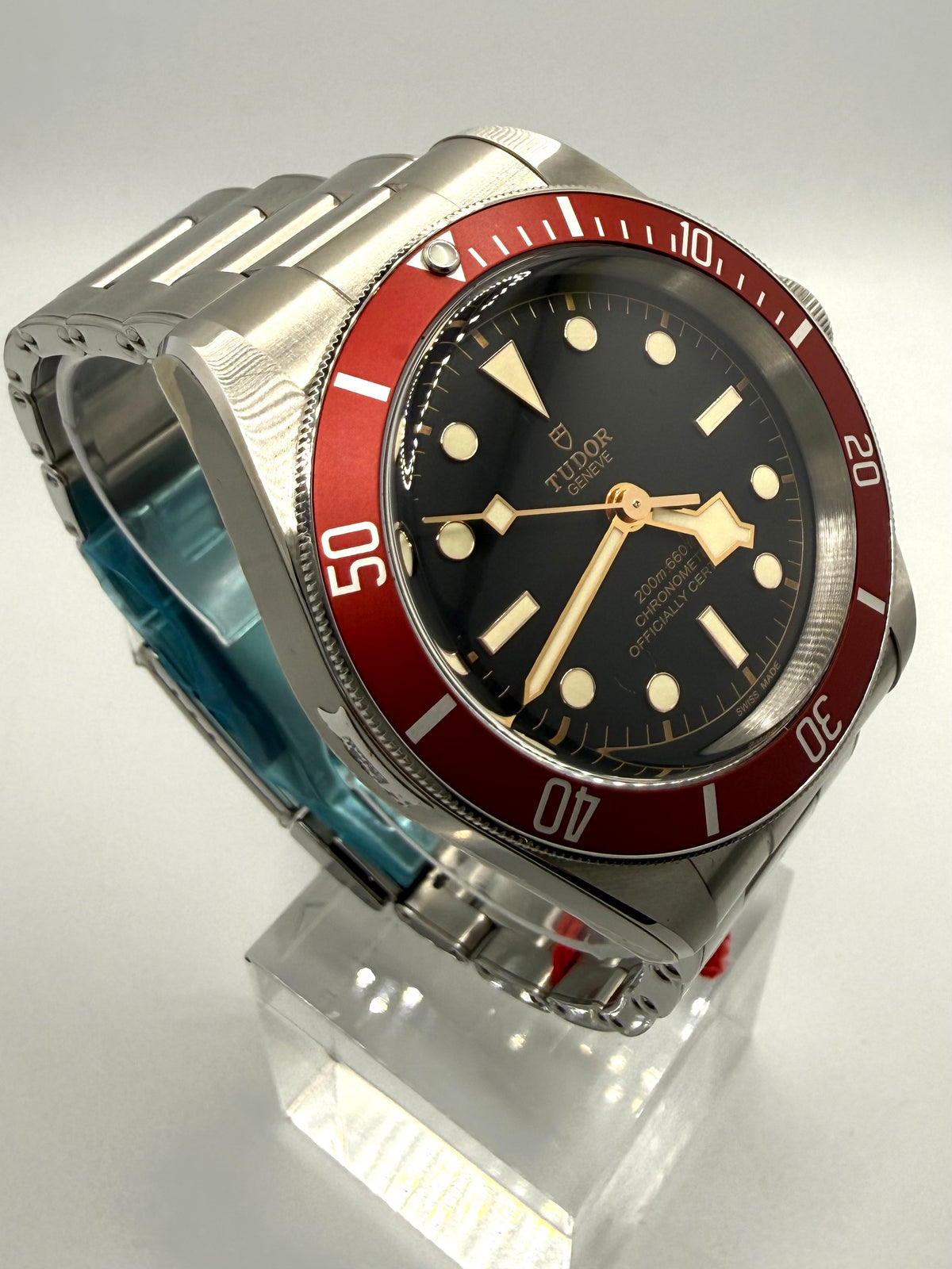 Tudor Black Bay