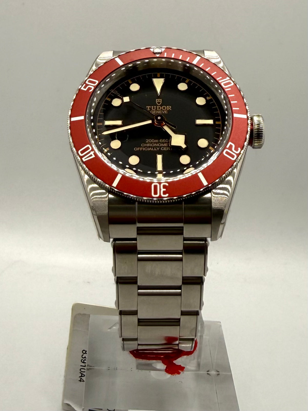 Tudor Black Bay