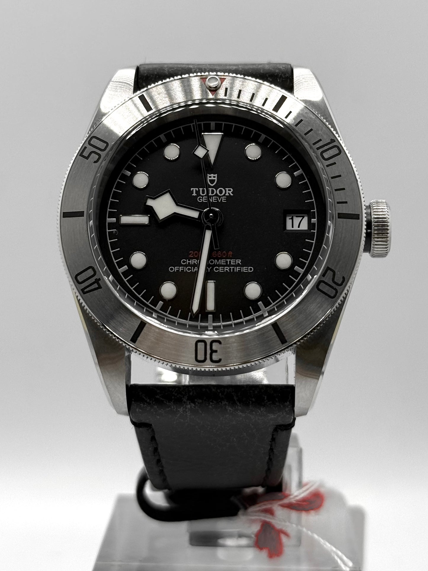 Tudor Black Bay Steel