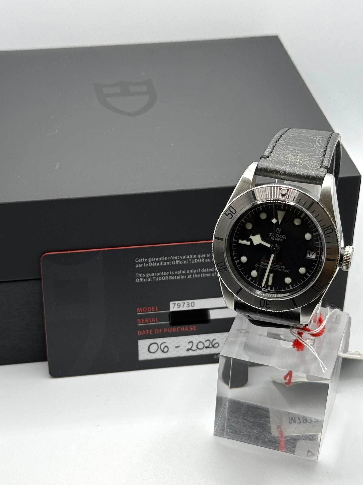 Tudor Black Bay Steel