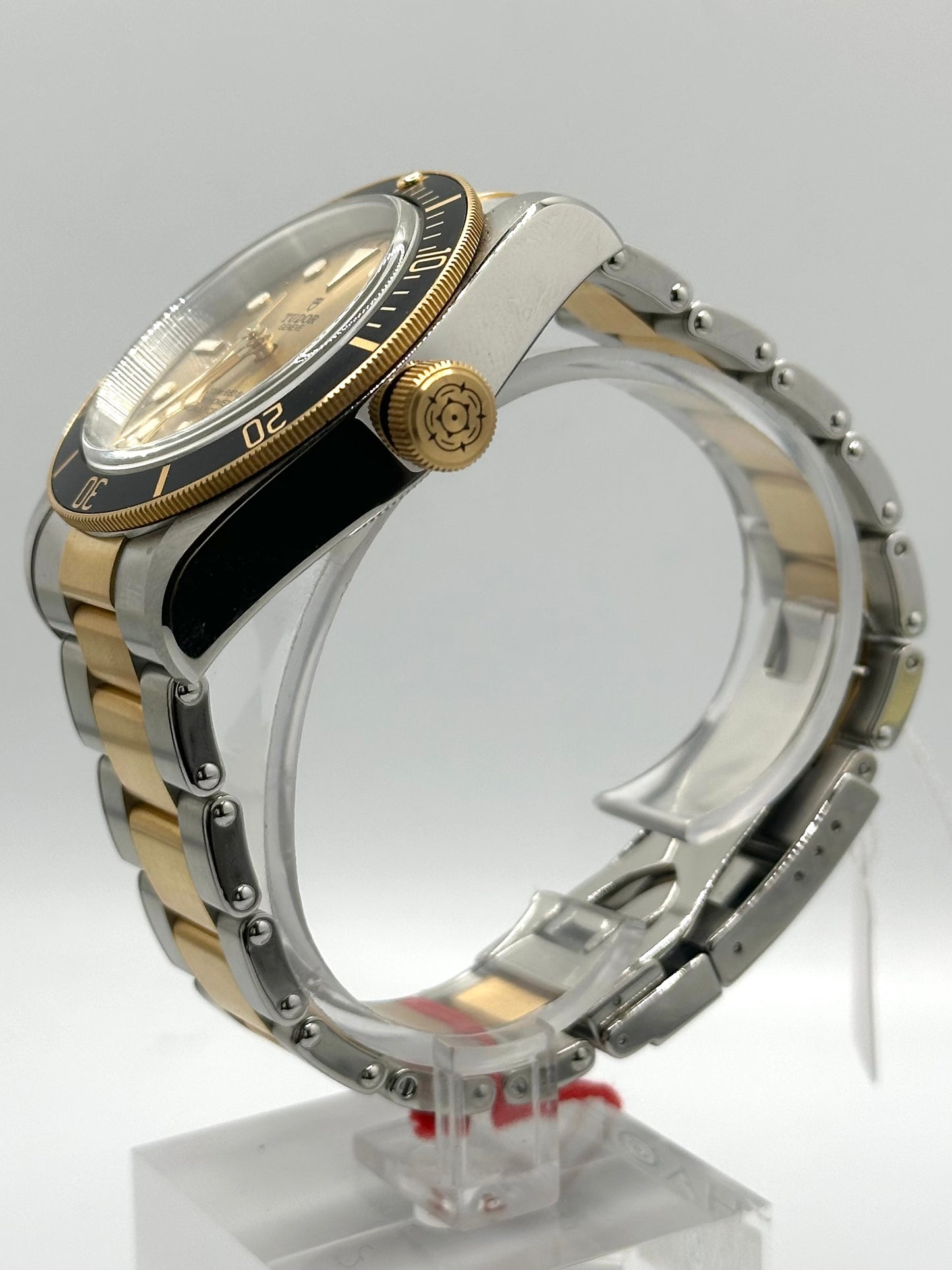 Tudor Black Bay