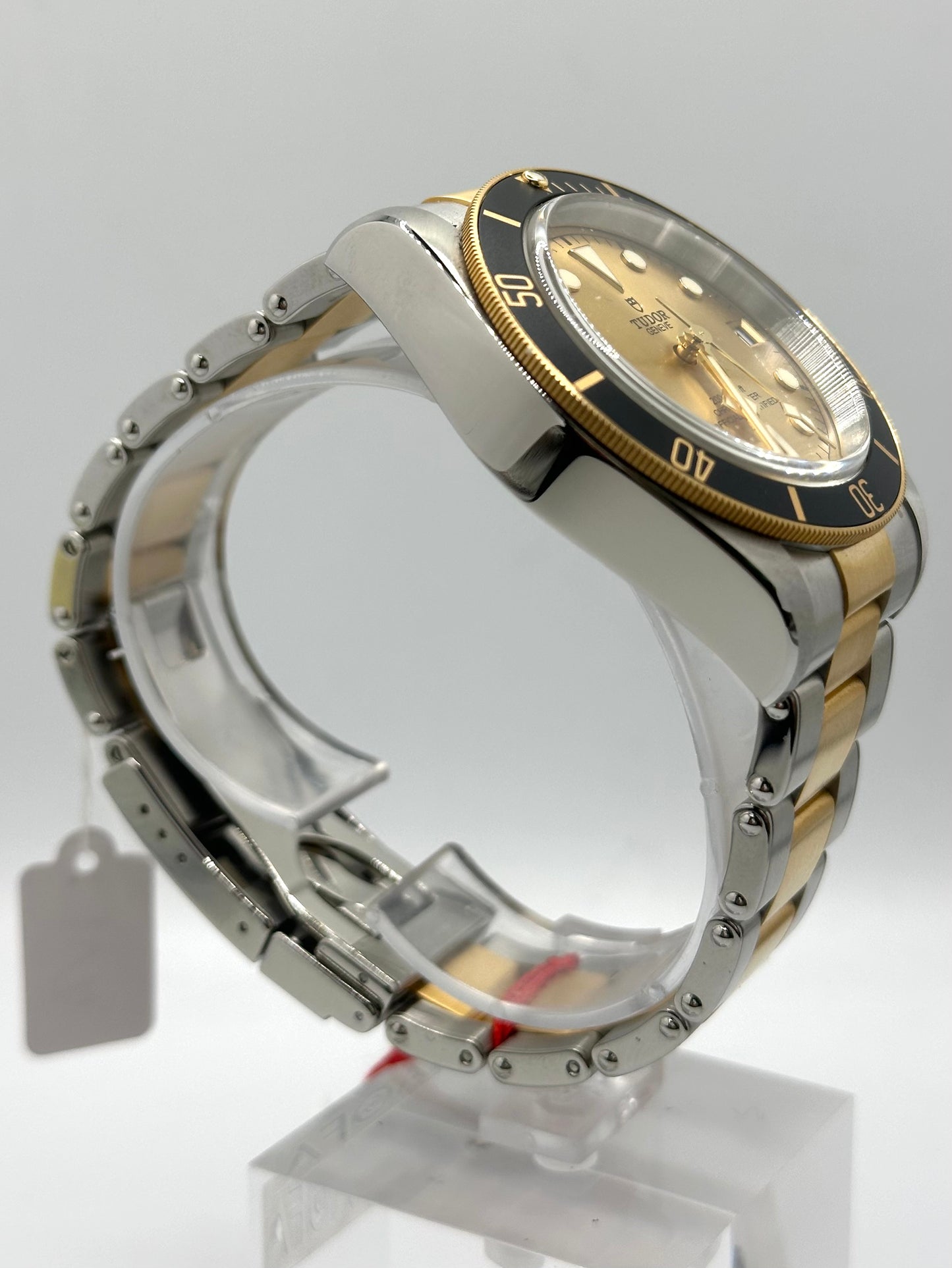 Tudor Black Bay